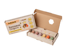 Voščenke iz čebeljega voska Junior Pastel (6 barv) | Medenka